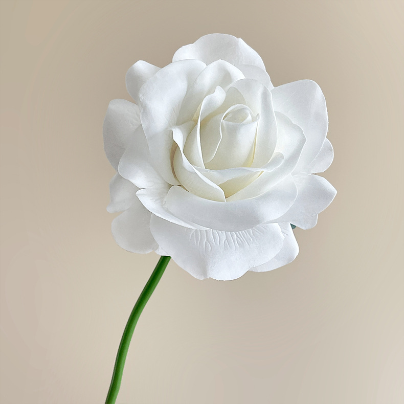 01-Blanc