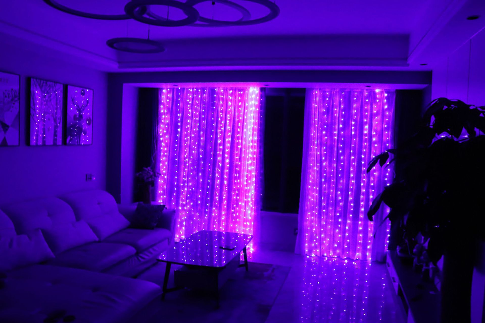 Purple