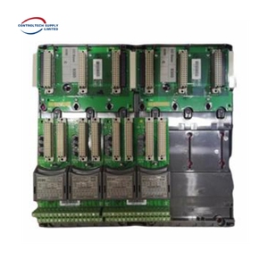 ICS TRIPLEX T9832デュアルチャネルアナログ入力モジュール-16チャネル、正確な産業データ取得のための分離設計 - Product Image 4