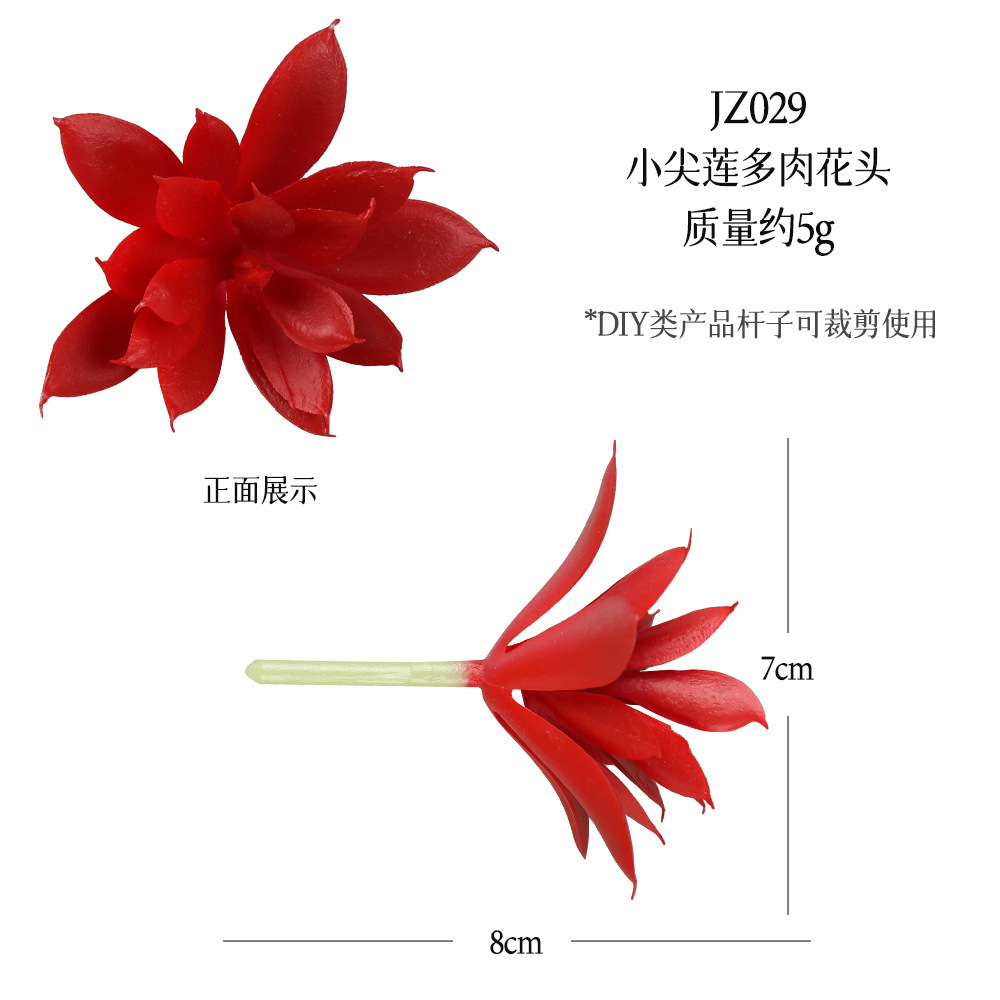 Jz029-ดอกบัวแหลมเล็ก