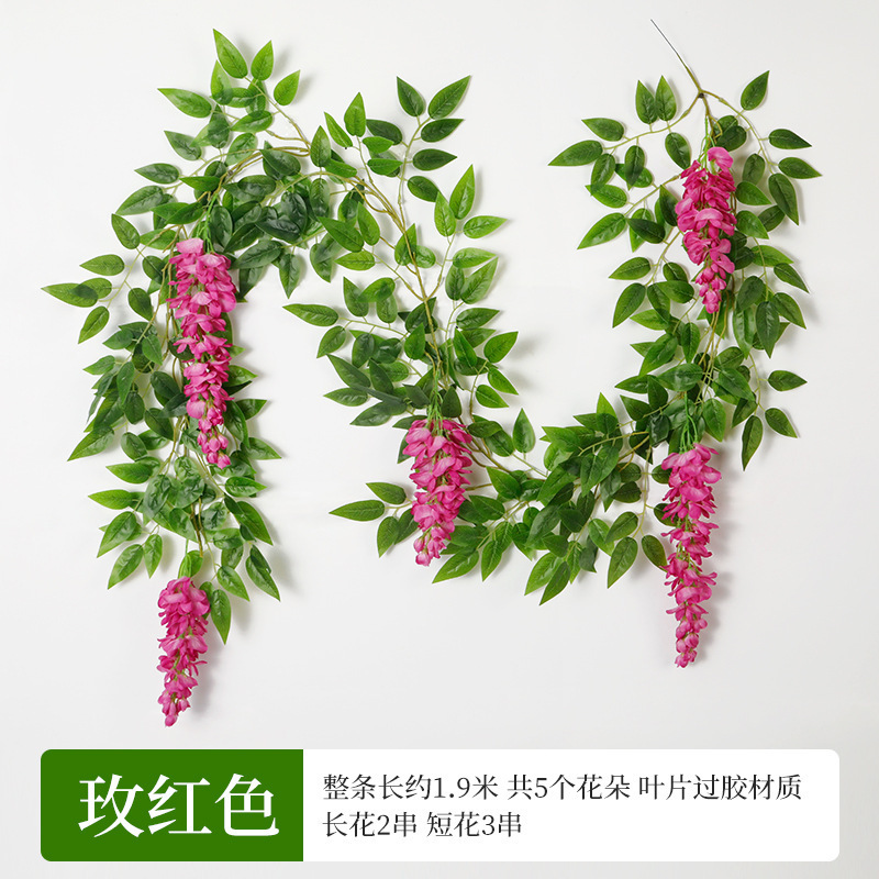 Gland de glycine doré, style feuille brillante, rouge rosé.