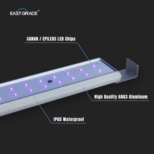 แถบไฟ LED เรืองแสงสเปกตรัมเต็มรูปแบบ UV IR Samsung LM301H Evo ที่มีประสิทธิภาพการส่งออกแสงสูง - Product Image 3