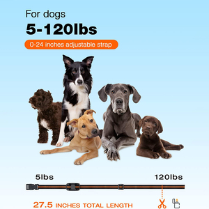 Anpassbares wiederauf lad bares Hunde trainings halsband mit fern gesteuerter stoß fester Funktion für ein oder zwei Hunde aus Kunststoff - Product Image 6