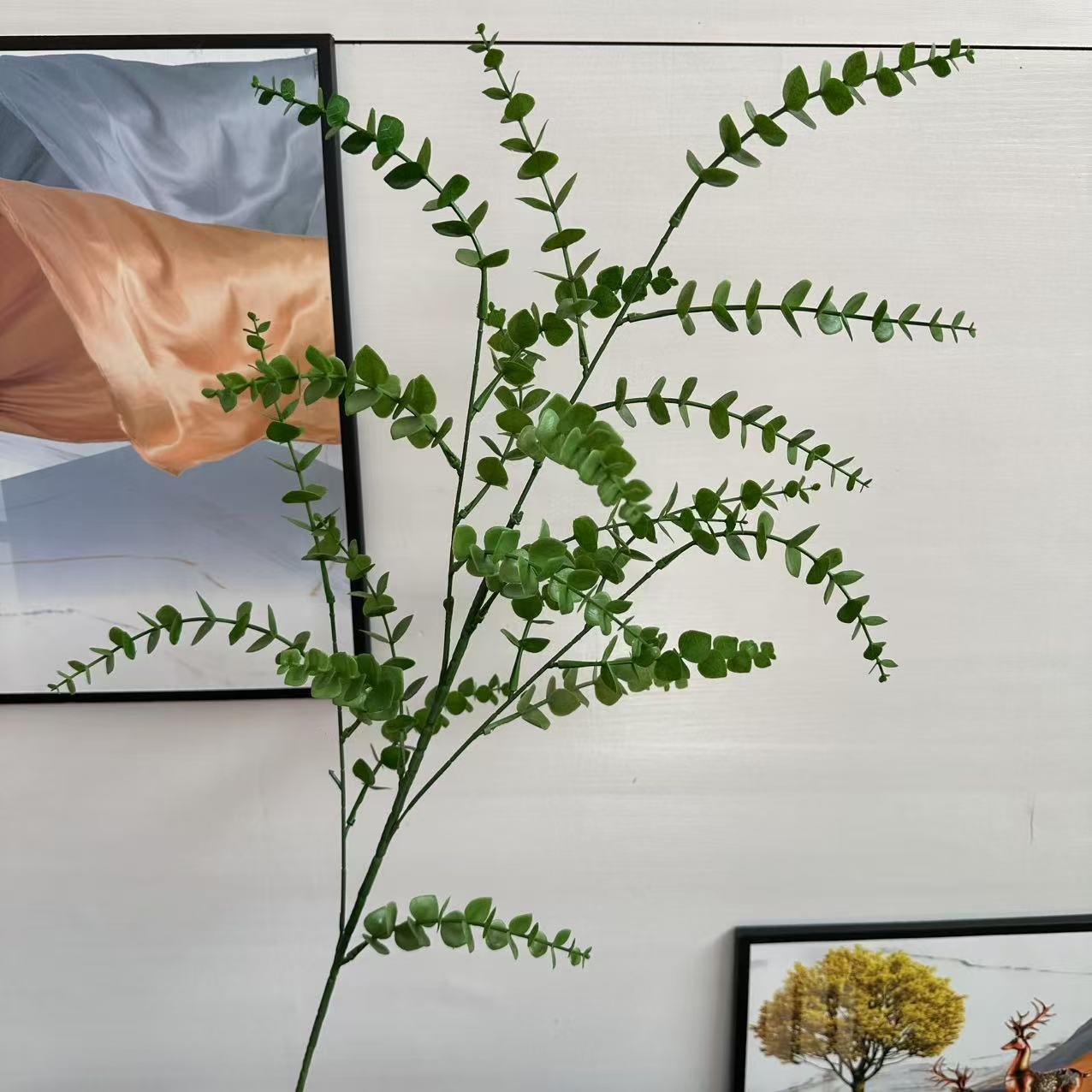 Eucalyptus à longues branches vertes