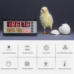 Controlador de incubadora Xm 18d, temperatura y humedad, precio barato, Xm-26 incubadora de huevos de pollo - Product Image 6
