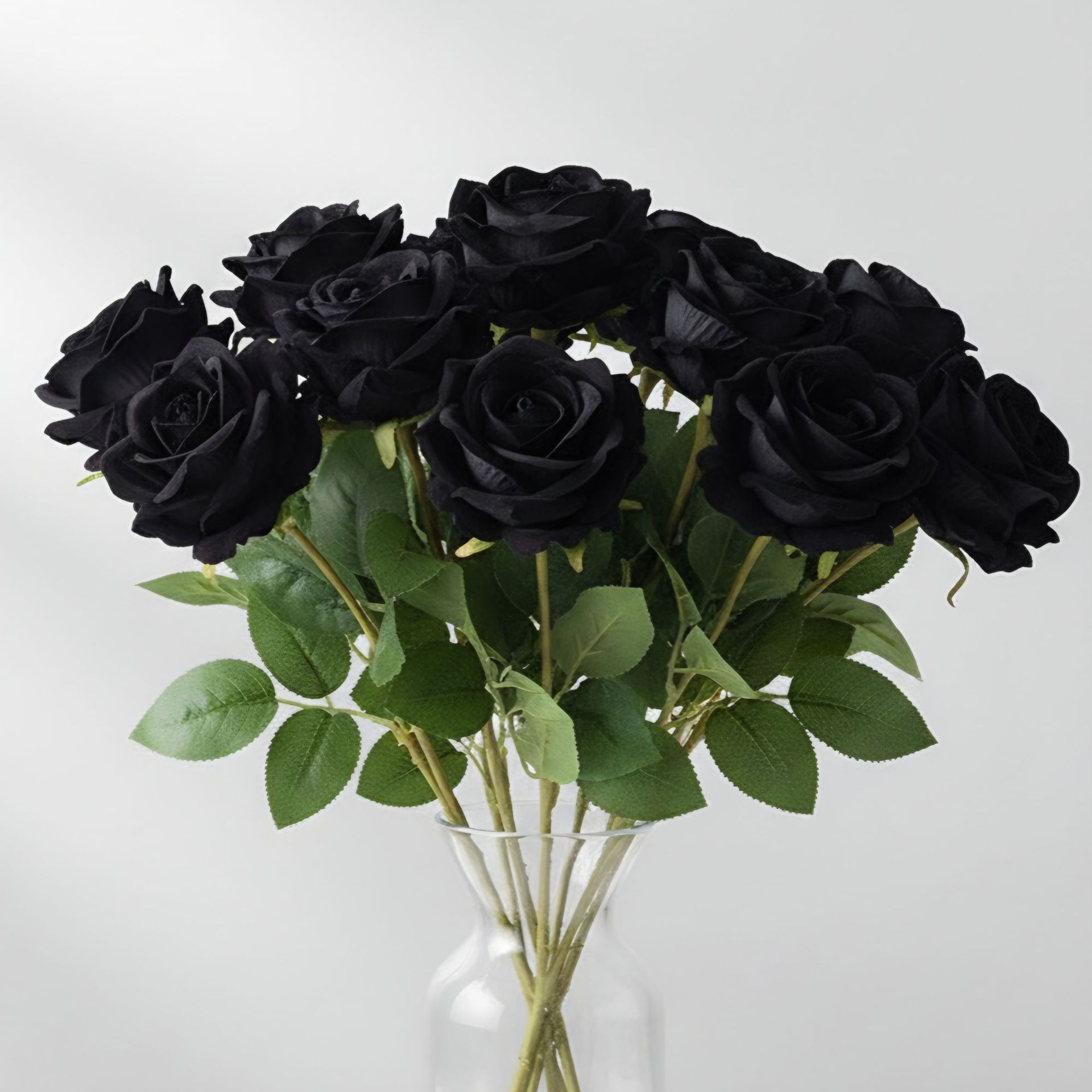Black pearl velvet rose
