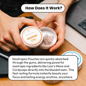 Năng lượng nootropic thông minh tập trung Nấm Thảo Dược túi không calo VIGO OEM nhãn hiệu riêng caffeine miễn phí Túi Nicotine miễn phí - Product Image 2