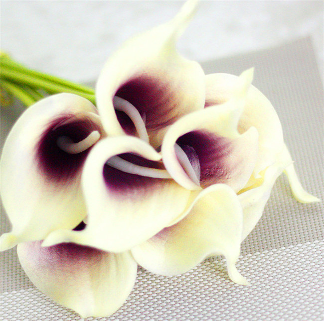 BLANC-violet