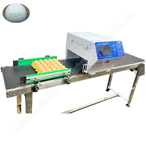 Máquina codificadora de huevos, máquina codificadora de inyección de tinta, huevos, alimentos para marcar, codificación de identificación - Product Image 4