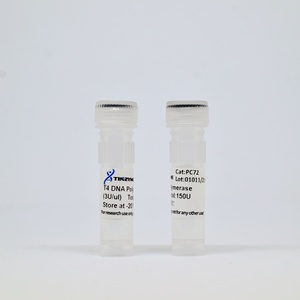 Tinzyme T4 DNA <strong>Polymerase</strong>,not Contain Exonuclease Activity of 5' to 3' DNA,can Be Inactivated by Heating at 70 for 10 Minutes - Product Image 2