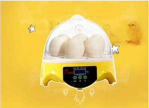 Hhd Mini Cover Machine Incubator in Rand Novelties 2024 Technology Hatching Automated Machine Poultry Farm Equipments - Product Image 5
