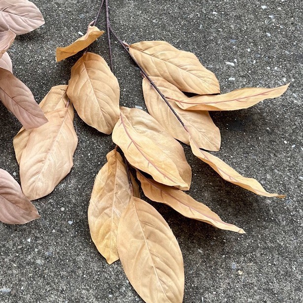 Feuilles de myrte crêpe jaune