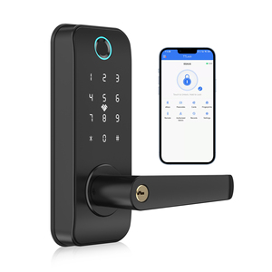Tuya App Fingerprint Smart European Style Door Handle Lever <strong>Lock</strong> Office Push Pull Electronic Code Small Aluminum Gold <strong>Key</strong> - Product Image 1