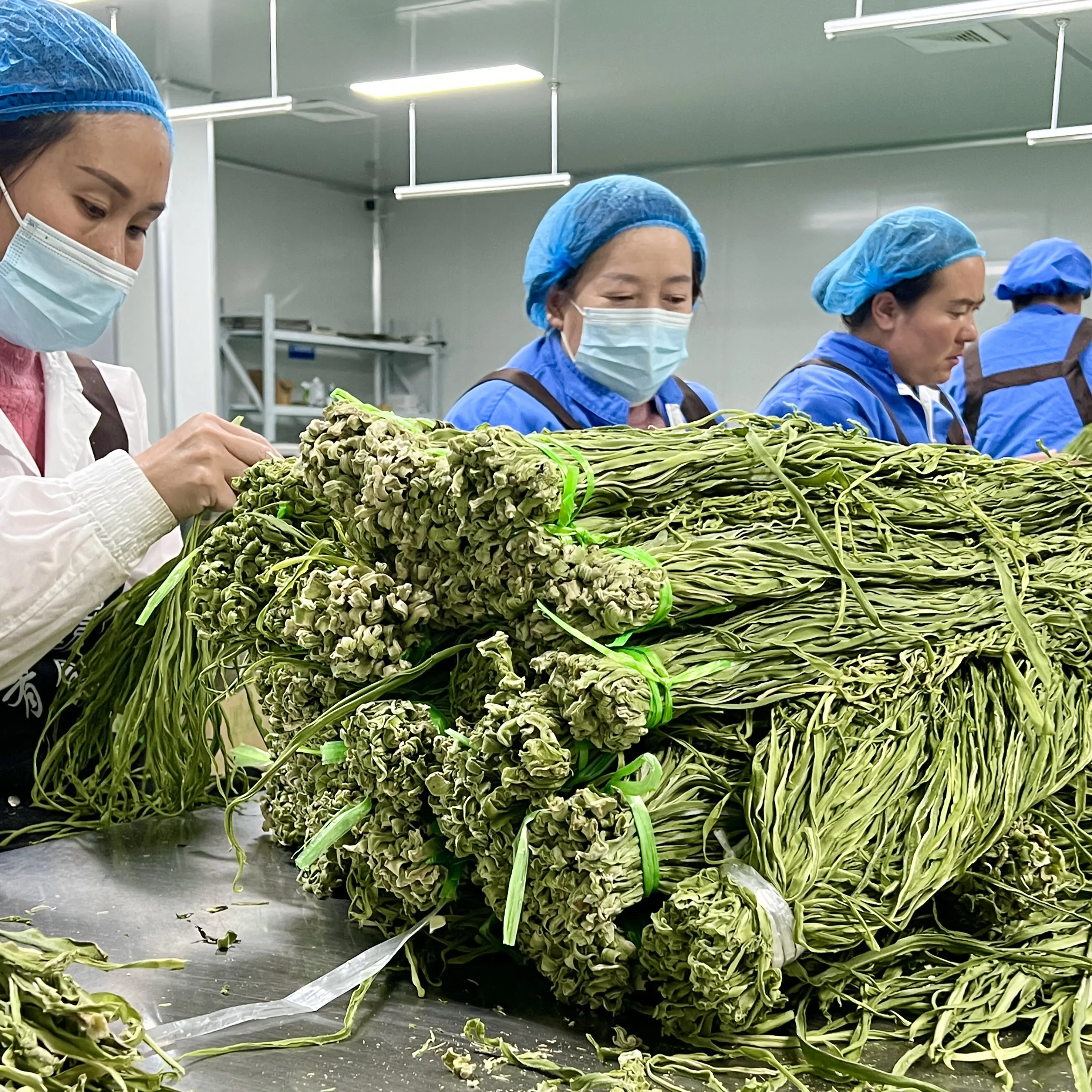 Groothandel Van Natuurlijke Hoogwaardige Plantaardige Producten Gongcai