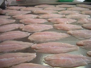 Vietnam'dan güvenli ve besleyici dondurulmuş Swai balık Fille Pangasius fileto Sutchi yayın balığı fileto - Product Image 2