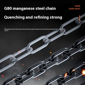 批发小型钢链块G80倒置手动环链葫芦1吨至10T3M容量手动 - Product Image 4