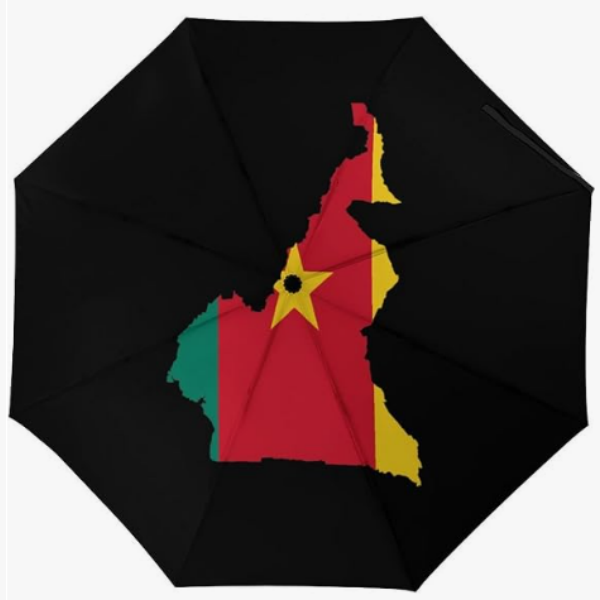 06 Cameroun