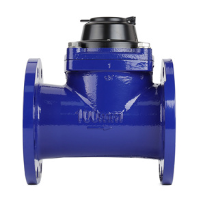 מד מים יצוק ברזל לחיבור אוגן בורג אופקי נתיק DN80/100/125/150/200/250/300 מ\\\"מ למים קרים וחמים - Product Image 5