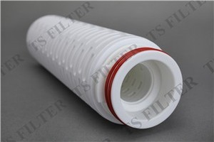 Absolute Rate Sterile 0.2 Micron Hydrophobic PTFE Membrane <strong>10</strong> Inch Pleated <strong>Filter</strong> for Tank Vent and Compressed Air Filtration - Product Image 5