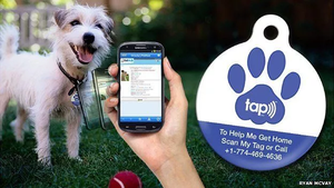 RFID NFC findet haustier hund tier tag anti-verloren pet QR Code 213 Epoxy tag für Dog Cat - Product Image 4
