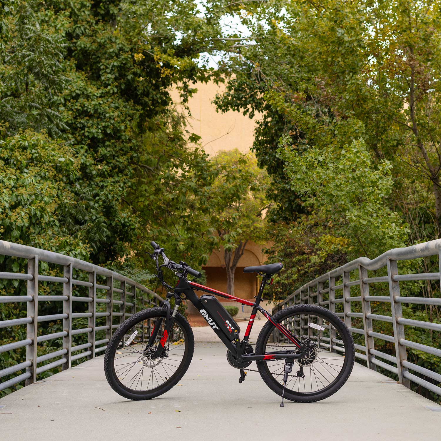 Dual Mechanical Disc Brakes System