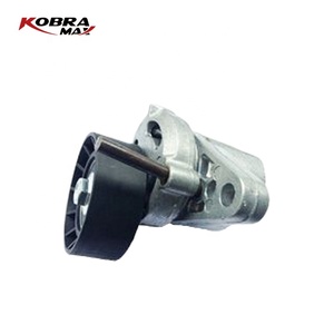 High Quality Tensioner Pulley For DACIA <strong>7700102872</strong> For NISSAN 1192500QAL Automobile Mechanic