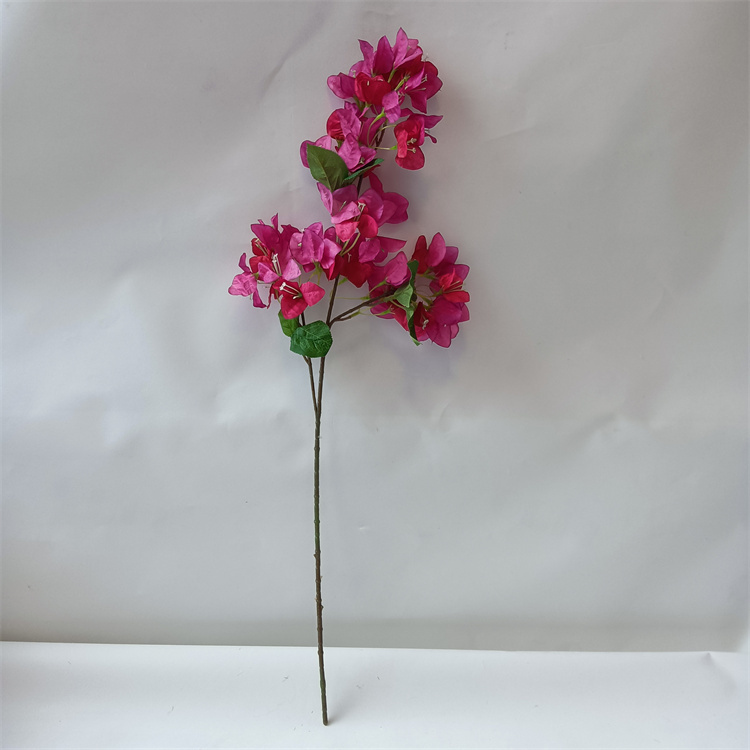 Rose Pink(Head length: 78cm)