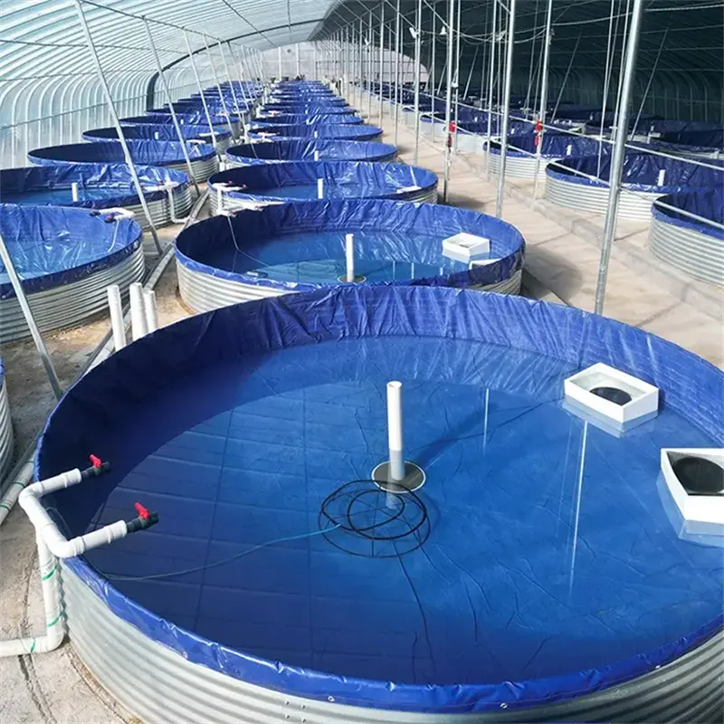 SDM水産養殖サイクル装置丸い大きな生物学的凝集魚の池