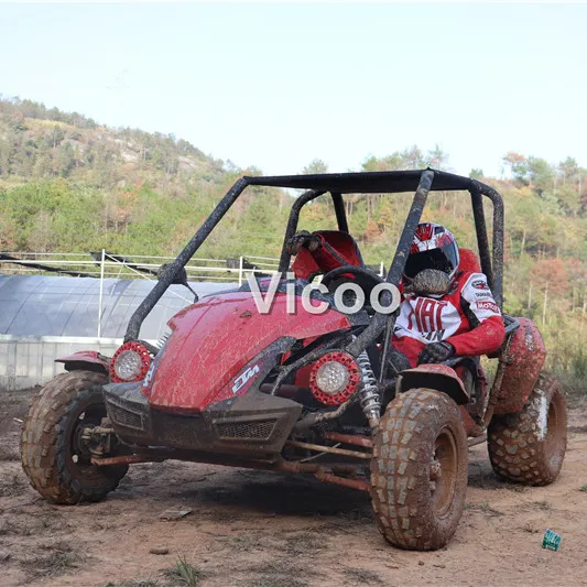 EWG dune buggy 200cc billigen go karts für erwachsene racing