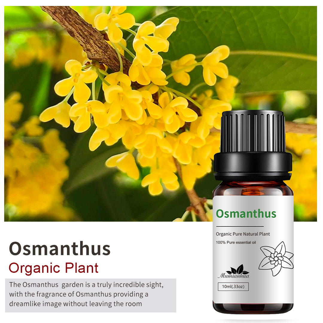 Osmanthus sp/10ml