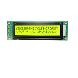 Display lcd a caratteri 20x2 COB mono mini display lcd - Product Image 1