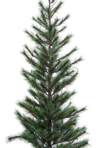 Standard Xmas <strong>Tree</strong> 60&quot; 130 Lights Christmas <strong>Tree</strong> Crafts 213 Tips Hot Needle Pine Christmas <strong>Tree</strong> With Burlap Half-Round Base - Product Image 5