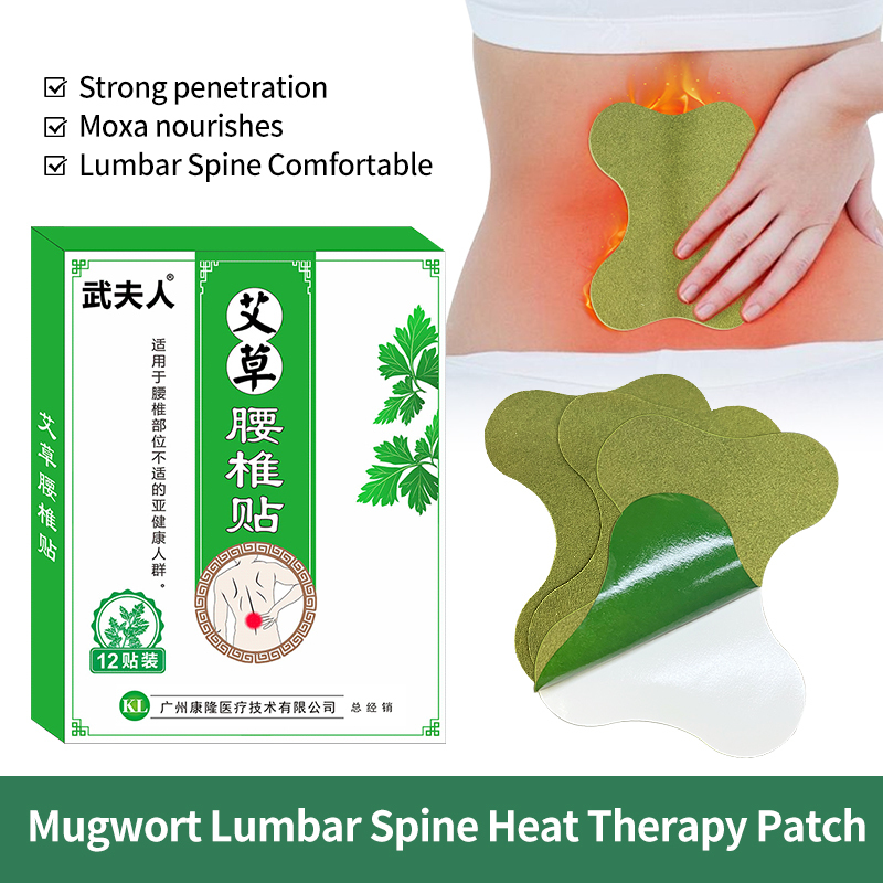 Mugwort lumbar Pain Relief Patch or Customized