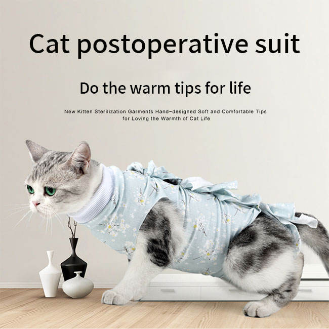 สีฟ้าอ่อนกับดอกไม้