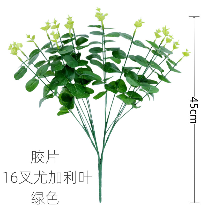 Film 16 fourchettes feuille d'eucalyptus vert