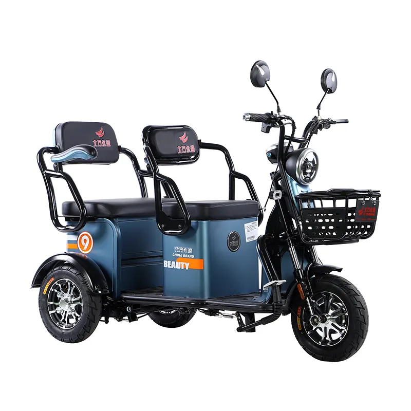 Leisure Small 3-wheeled Electric Moped Bike Two Seater Tricycle For Aged Adult