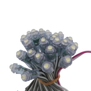 LEDポイントライトdc 12v 9ミリメートルBullet Pink Orangeウォームホワイト0.15W 50 PCS/String IP65 Advertisingボードポイントledモジュール - Product Image 1