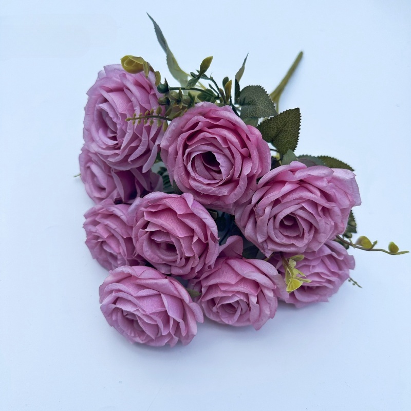 Pourpre