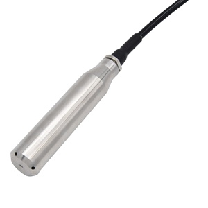 水、オイルアナログ出力を測定するための4-20mA 0.5-4.5V水中レベルセンサー - Product Image 2