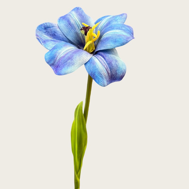 Smiley tulipe bleu