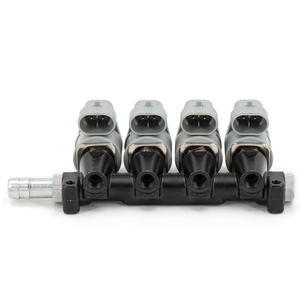 LPG/CNG Sequentielles Kraftstoffs ystem Einspritzung Auto Gas Kit Einspritz schiene 2Ohm/3Ohm Auto injektor