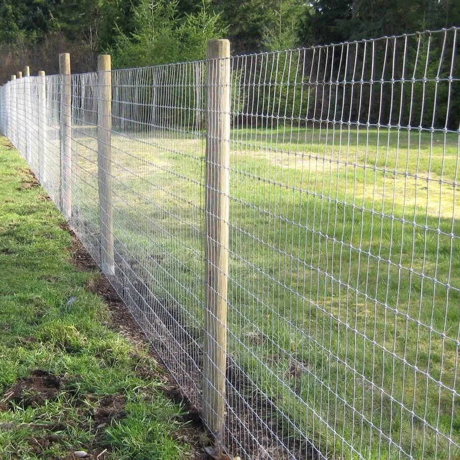 Oveja ciervo Acero de alta resistencia Granja Cercado Rollos de alambre Malla de campo Cercado Valla de campo de ganado