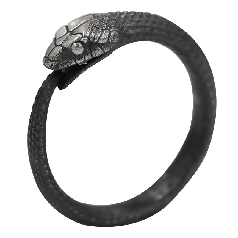 Ouroboros Couple's Gift Ring