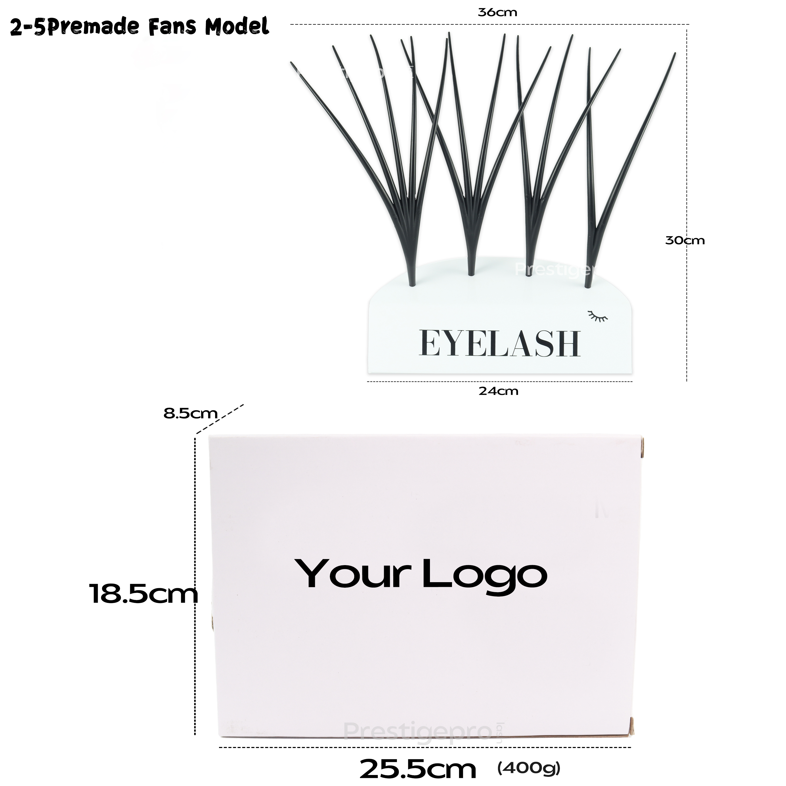 2-5Premade Fans Model