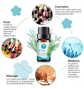 Özel etiket özelleştirmek 1/3 oz MELALEUCA ALTERNIFOLIA uçucu yağ cilt bakımı 10ml çay ağacı yağı - Product Image 5