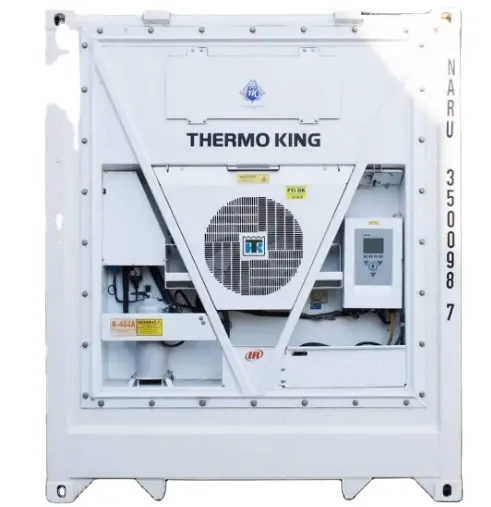 Nuovo Stock in vendita 40 piedi Thermo King refrigeratore refrigerato o congelatore cella frigorifera contenitore Reefer da 40 piedi