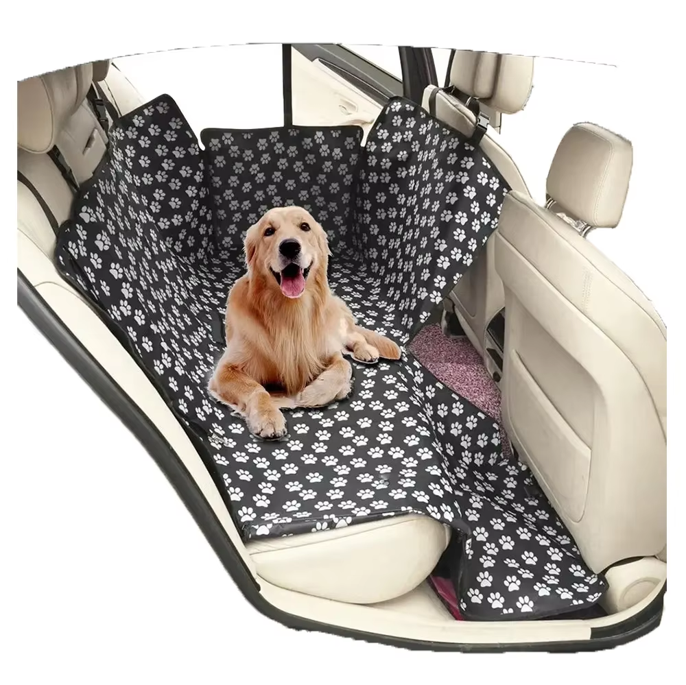 อุ้งเท้าดำ