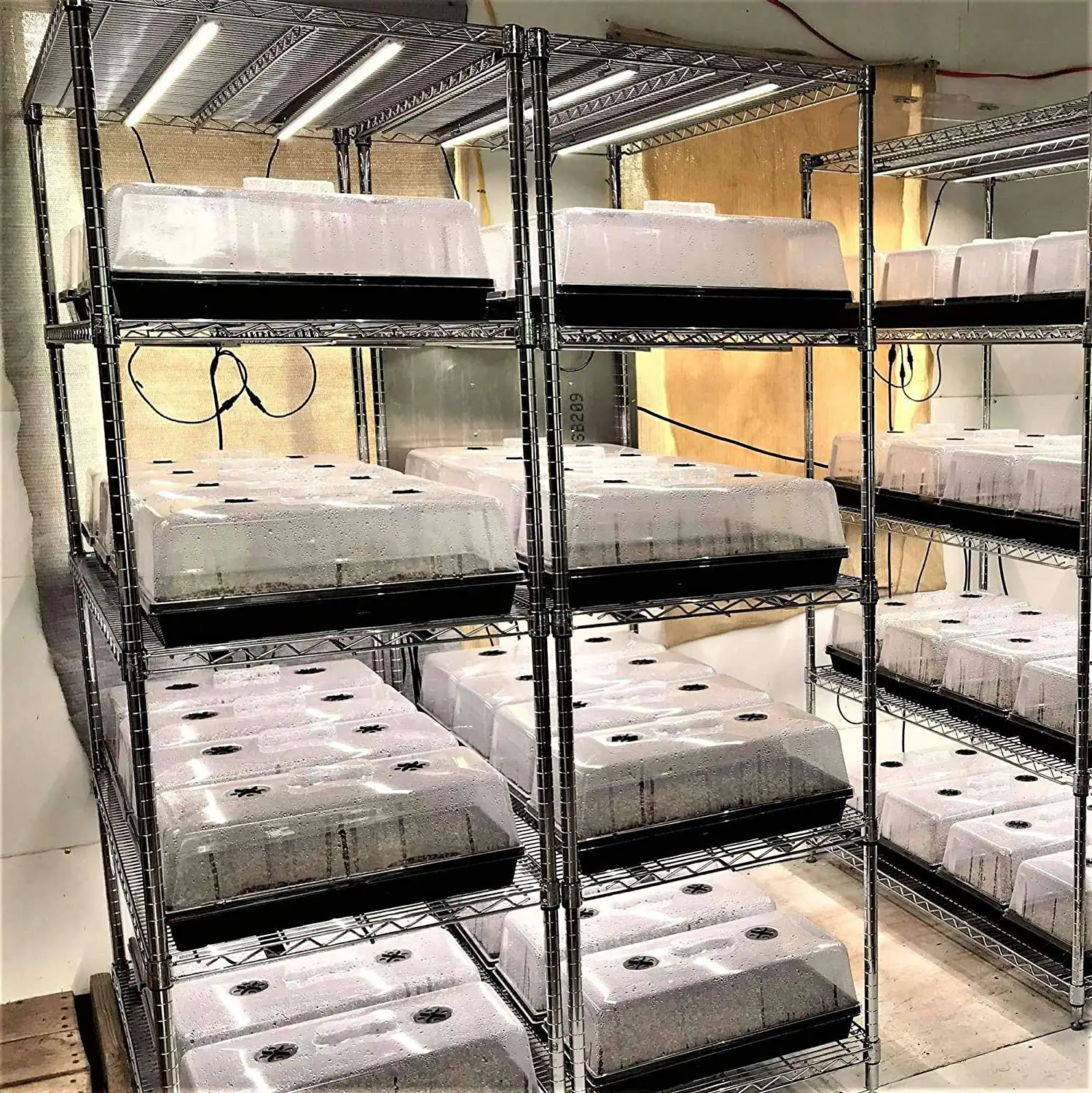Kit de bandejas de plástico para germinação de mudas, sistema de cultivo hidropônico com tampa, bandeja reutilizável para germinação