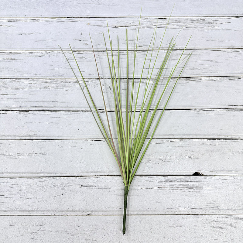 Herbe flétrie verte