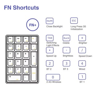 Leobog K21 Bluetooth tastierino numerico meccanico numerico 21 tasti trasparente contabilità Numpad tastiera da gioco programmabile